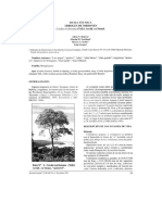 2007 Ficha Técnica Cordia Trichotoma PDF