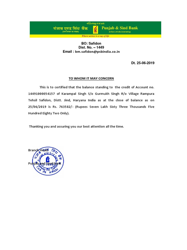 Punjab and Sind Balance Certificate PDF