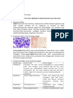 Tugas Bakteriologi - Oktavia Puspa Dewi - 1713453042 - T1R1