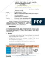 Informe C. Castillo