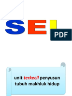 SEL - Bahan Presentasi - OK