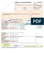 formatos