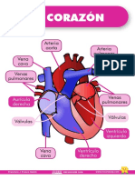 Corazon PDF