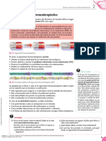 Dispensación de Productos Farmacéuticos - (Dispensación de Productos Farmacéuticos)