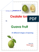 Chemistry Investigatory Project Presence of Oxalate Ions in Guava at Different Stages of Ripening