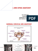 Mri Spine Anatomy