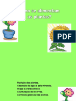 Alimentacao_plantas.ppt