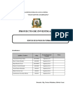 FORMATO DE PROYECTO DE INVESTIGACIÓN ESTATICA finalll - copia - copia (2).docx