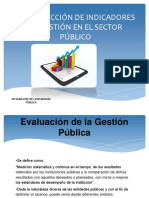 Construccion de Indicadores de Gestion en El Sector