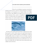 La Espiral Como La Clave de La Creación y de La Existencia