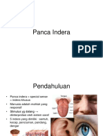 Panca Indera