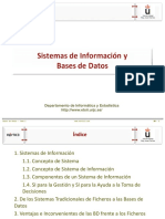 Tema1-SIyBD BVS PDF
