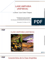 Diapositivas - Clase Amphibia PDF