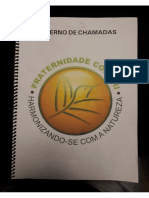 CADERNO DE CHAMADAS.pdf