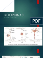 Sistem Koordinasi