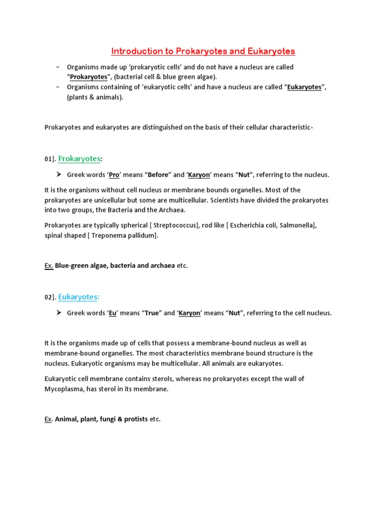 Prokaryotes vs. Eukaryotes Explained | PDF | Wellness