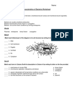 Worksheet Archae & Bacteri