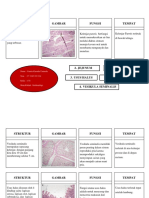 Laporan Sitohistologi