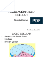 Regulacinciclocelular 150814190932 Lva1 App6891 PDF