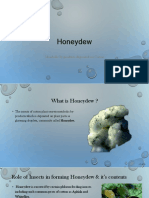 Honeydew PDF