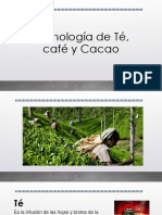 Tecnología de Té, Café y Cacao