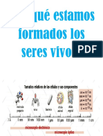 De Qué Estamos Formados Los Seres Vivos