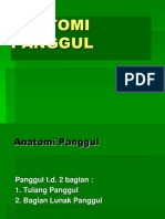 Anatomi Panggul Dan Janin