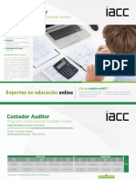 Programa Continuidad Contador Auditor