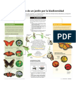 INTAinforma Mariposas BAJA 2 PDF