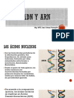 ACIDOS NUCLEICOS ADN y ARN PDF