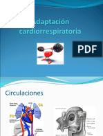 Adaptación Cardiorrespiratoria