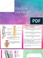 Tinjauan Anatomi Medulla Spinalis dan Dermatom