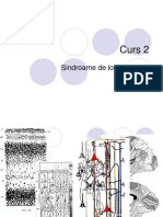 curs-2-lobii-cerebrali.pdf