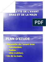 os de l_avant bras et la main