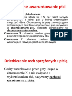 Genetyczne Uwarunkowanie Plci