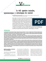 Actualización sobre el pie negro de la vid: agentes causales, epidemiología y estrategias de control