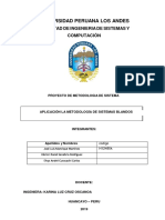 Aplicación La Metodología de Sistemas Blandos