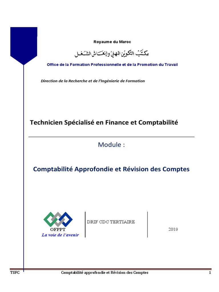 Cae Pdf Comptabilite Bilan Comptable