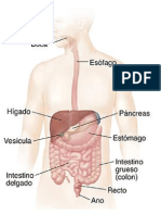 BIOLOGIA 1c