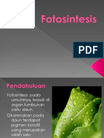 09 Fotosintesis 1 PDF
