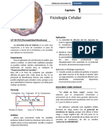 Ficha 1 PDF