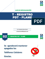 T-Registro Pdt-Plame PDF