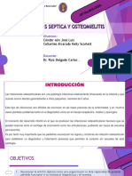 08-pptSEMINARIO RUIZ.pdf