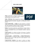 ERVAS DE IANSÃ.pdf