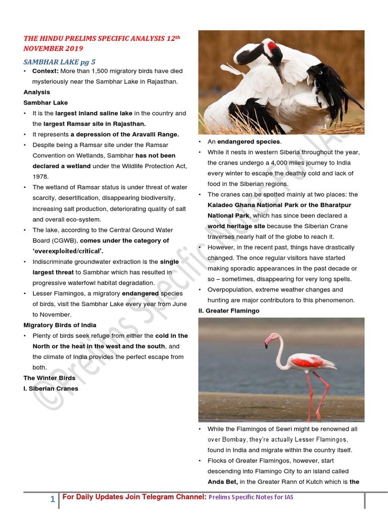 research papers on migratory birds