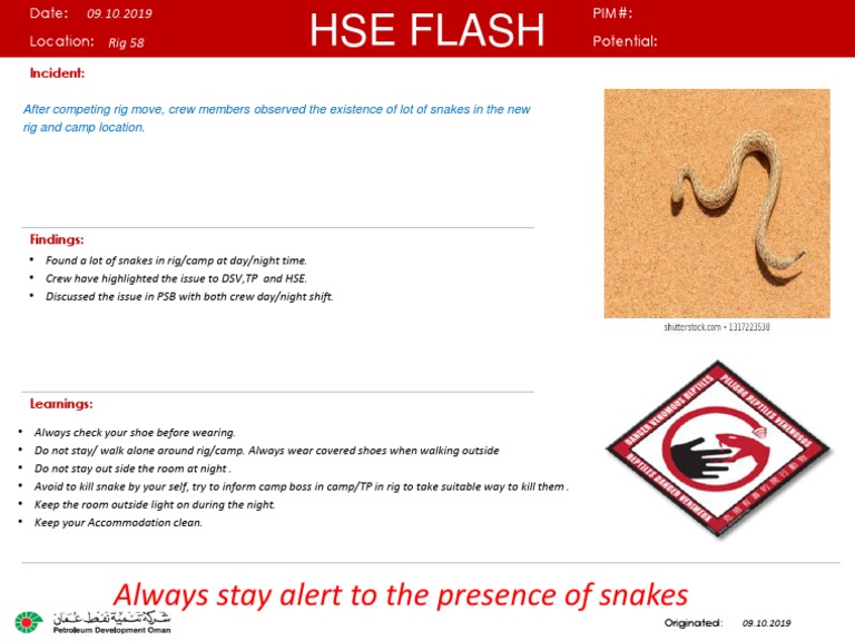 Snake Safety Protocols at Rig 58 | PDF | History