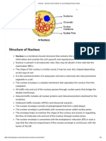 Nucleus - Structure and Functions - A-Level Biology Revision Notes PDF