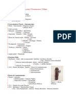 FluxCad - 301 - Totalitarismos - Alternativo.odt