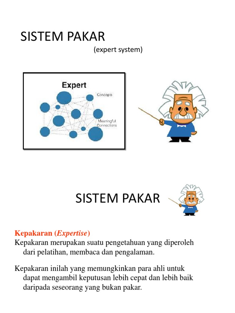 Sistem Pakar | PDF | Bisnis