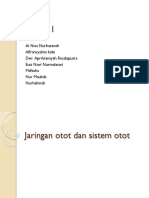 Kelompok 1 ANFISMAN JARINGAN OTOT & SISTEM OTOT